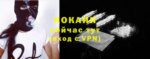 стафф Аркадак