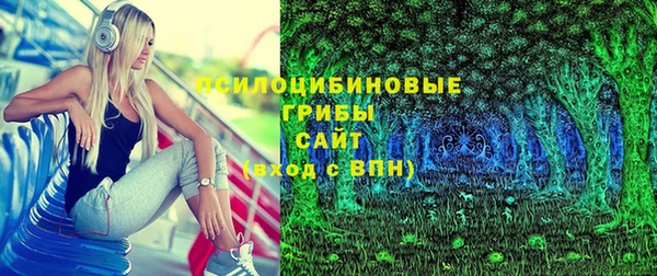 стафф Аркадак