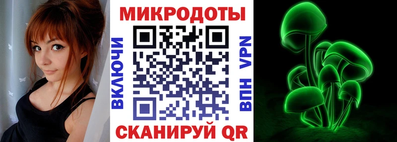 Псилоцибиновые грибы Psilocybine cubensis  Закаменск 